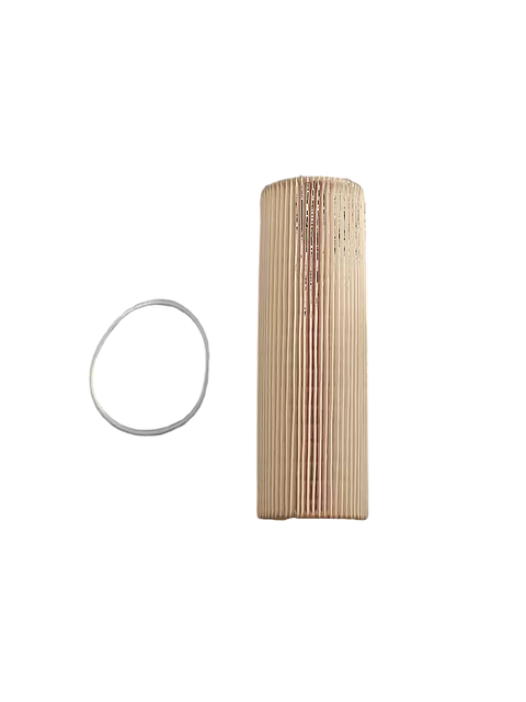 SC .4 R -17- OLIEFILTER FLEETGUARD | 2625884FL