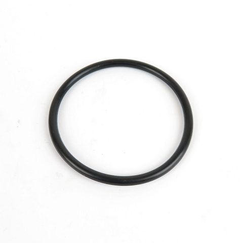DAF  XF106 13- OE O-RING WATER POMP 2022929