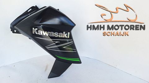 Kawasaki Z800 Rechts Zijpaneel Radiateurkap 491250572