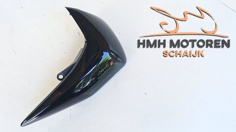 Kawasaki Z750 Z750R Zijpaneel Radiateurkap Rechts 491250029