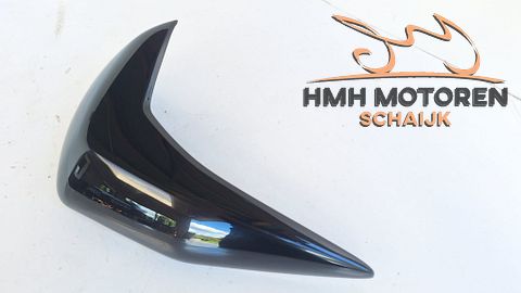 Kawasaki Z750 Z750R Zijpaneel Radiateurkap Links 491250028