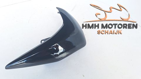 Kawasaki Z750 Z750R Zijpaneel Radiateurkap Rechts 491250029