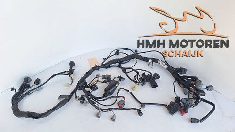 Kawasaki Z750 Hoofdkabelboom 26031-0497