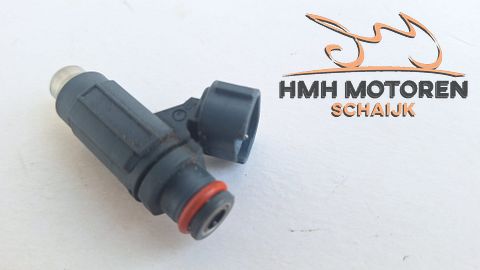 Kawasaki ER-6n Versys Ninja Vulcan Injector 49033-0011