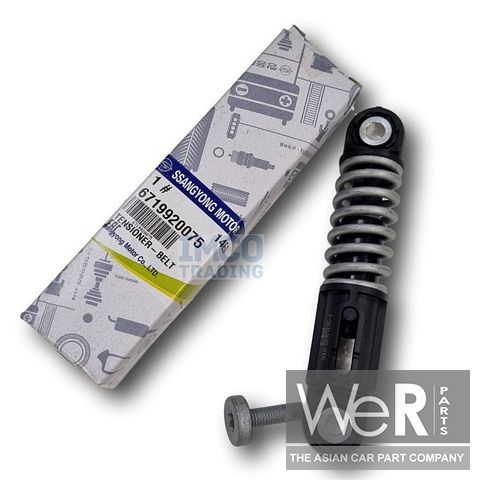 Multiriemspanner 2.0/2.2 diesel - SsangYong/KGM 2010-heden (6719920075)