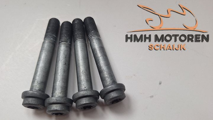 4x remklauw bouten voorwiel KTM M10 x 1,25 x 65 0035100659  – Foto 2