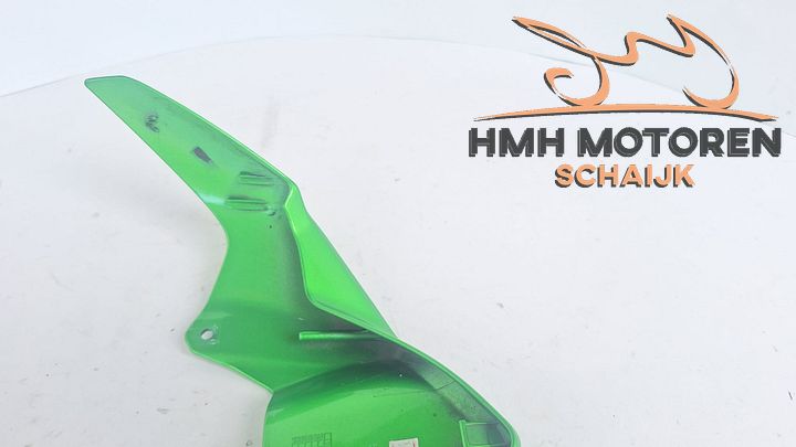 Kawasaki Z900 2017 Koplampkap kuipdeel kuipwerk 55028065651P – Foto 5