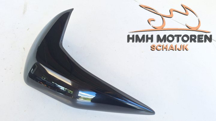Kawasaki Z750 Z750R Zijpaneel Radiateurkap Links 491250028