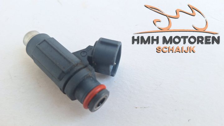 Kawasaki ER-6n Versys Ninja Vulcan Injector 49033-0011 